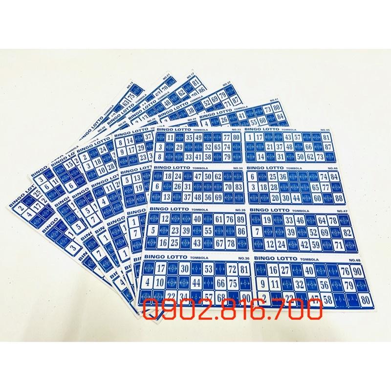 Bộ Đồ Chơi Lô Tô Bingo 90 số 48 tờ 863