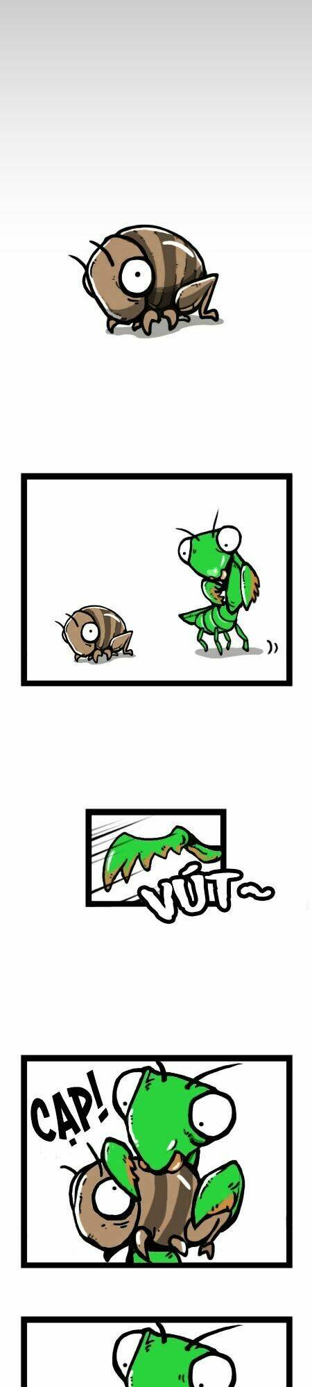 earth, human, and animal chapter 19 2