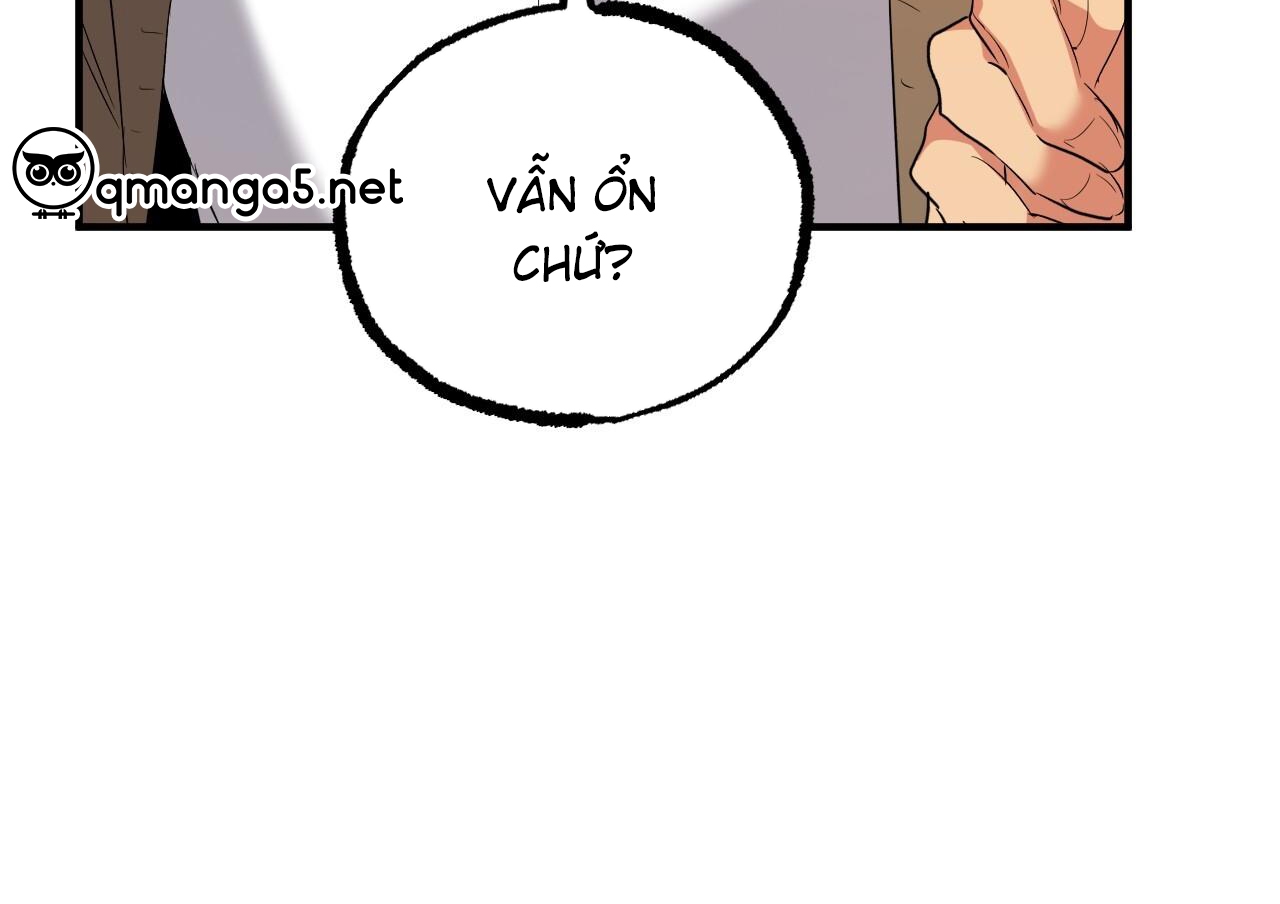 những chú thỏ của hapypy chapter 63 48