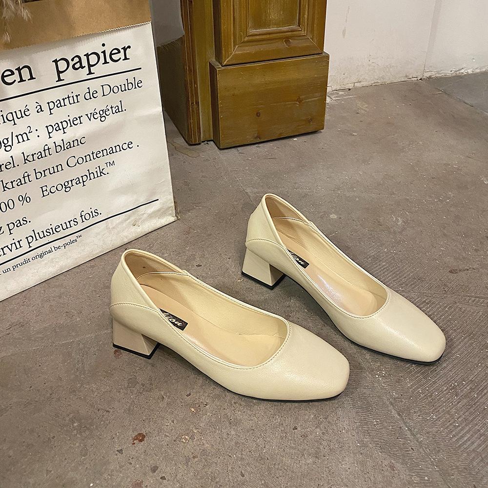 Giày Cao Gót Mũi Nhọn Thời Trang Dành Cho Nữ