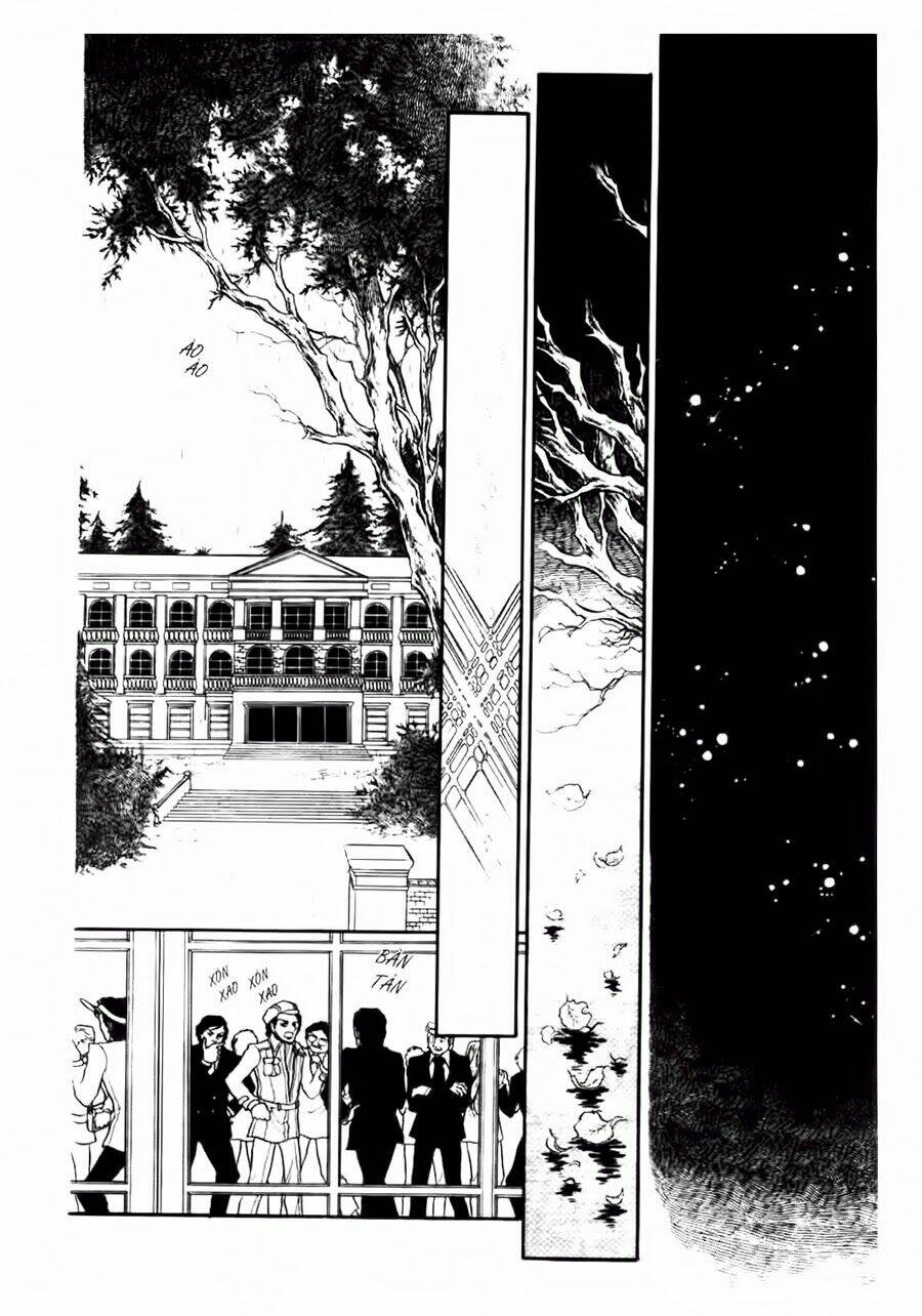 swan - vũ khúc thiên nga chapter 53 15