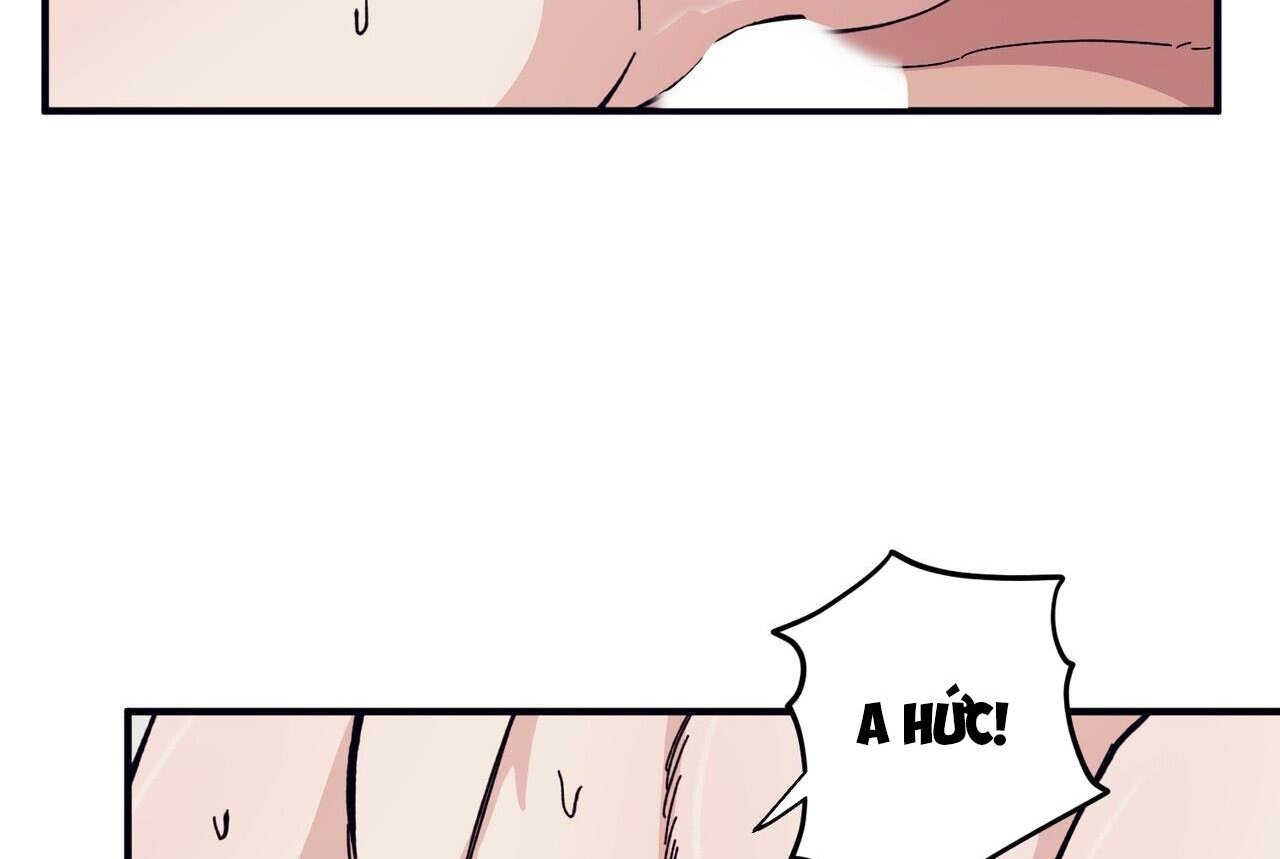 chàng dâu nhà họ kang chapter 46 66