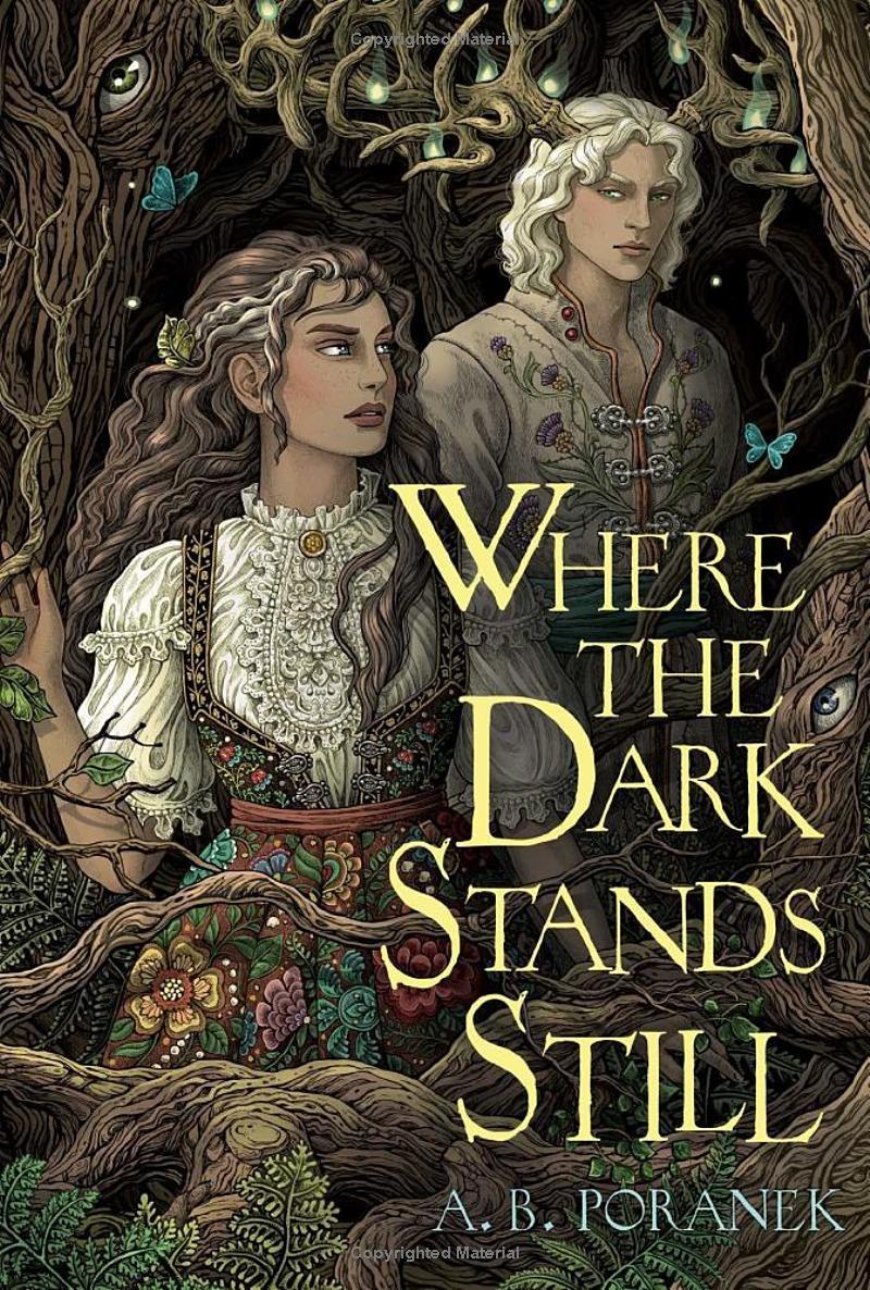 Sách ngoại văn: Where The Dark Stands Still