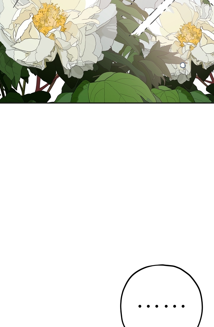 ác nữ tiểu thư chapter 81 64