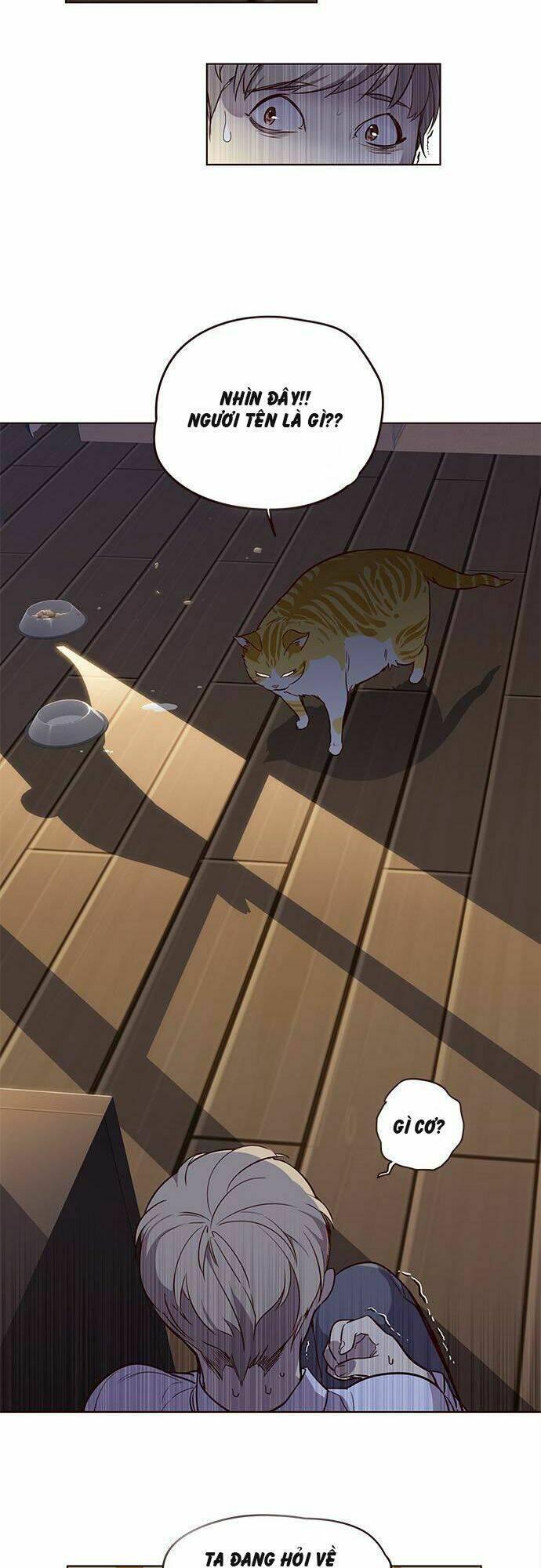 biến thân thành mèo chapter 1 40