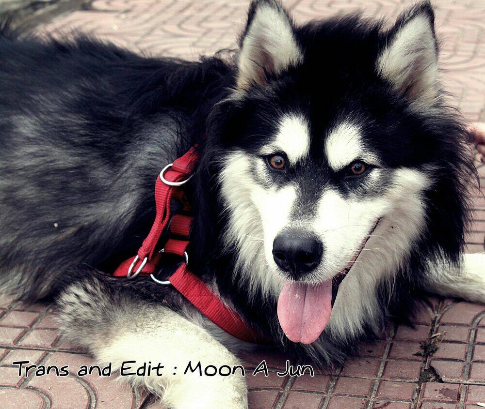 bình minh u sầu chapter 27 1