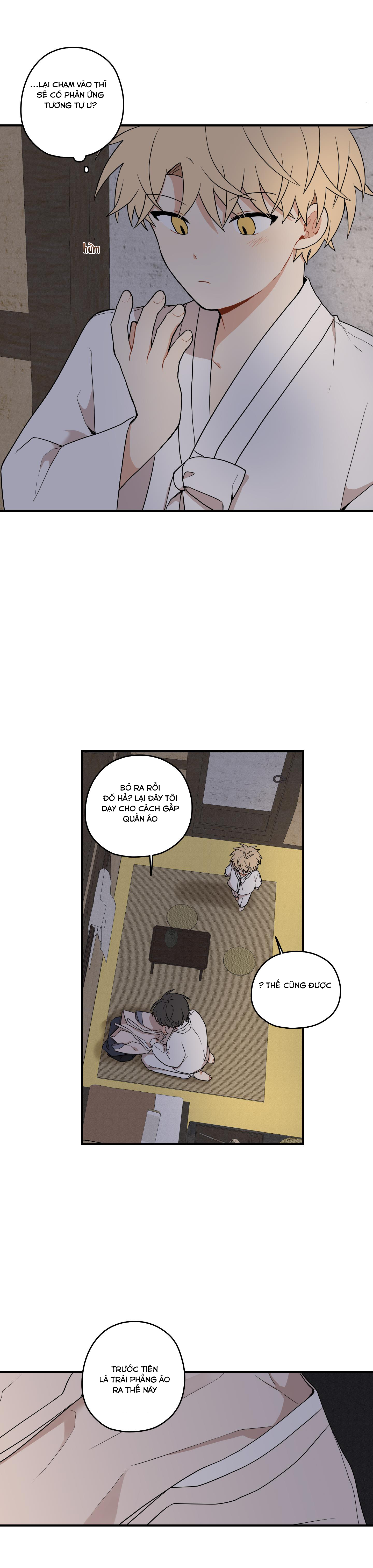 đường hoa liên kiều rơi chapter 33 12