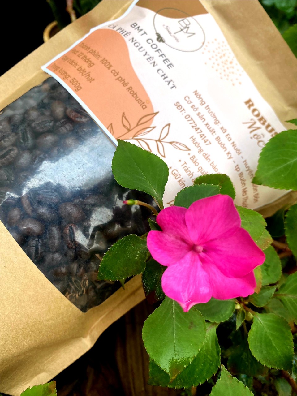 Cà phê Robusta nguyên chất rang MỘC 100% - Robusta Buôn Ma Thuột cafe từ Đắk Lắk 1 kg