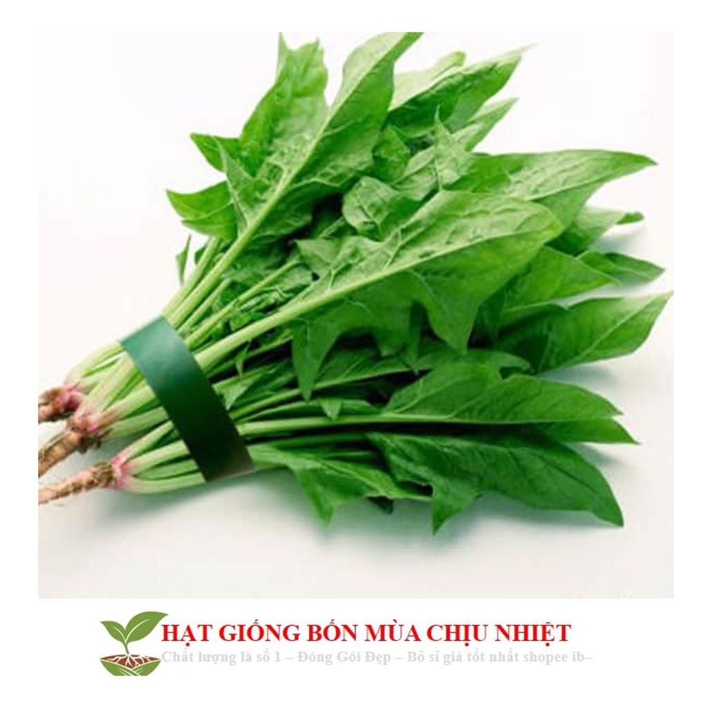 GÓI 100 HẠT GIỐNG CẢI BÓ XÔI 10g Hạt Giống Cải Bó Xôi - Chịu Nhiệt, Dễ Trồng (Spinacia oleracea) Rau Chân Vịt