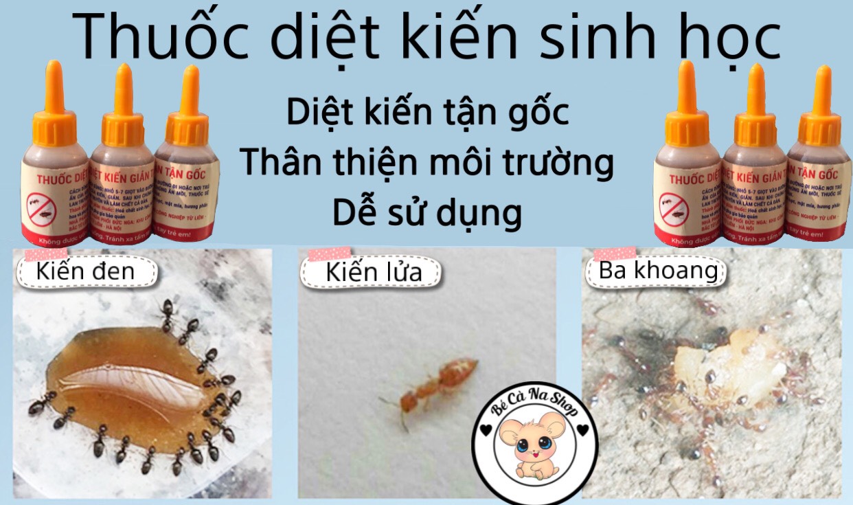 Diệt kiến tận gốc (ko gây hại) rất cần cho hamster , thỏ bọ sóc chinchilla...