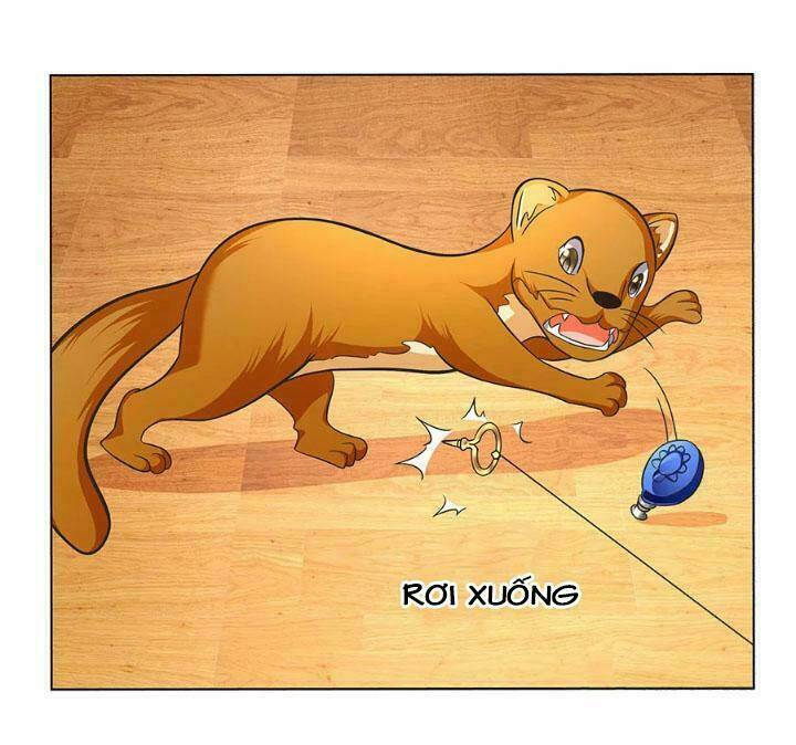 chào buổi tối, minh vương đại nhân chapter 14 5