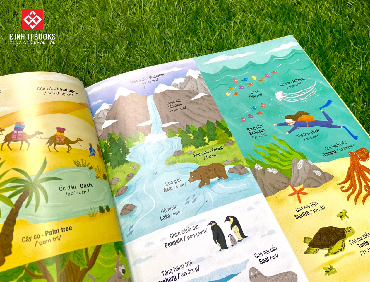 1000 từ vựng tiếng Anh thiết yếu cho trẻ em với kho từ vựng phong phú, đa dạng chủ đề - Đinh Tị Books