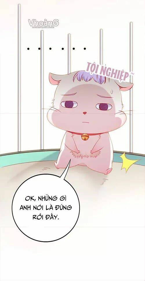 kế ước ngọt sủng:quốc dân lão công đích tiểu chiếm giữ thử chapter 2 19