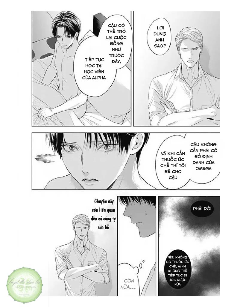 cô dâu của alpha chapter 6 34