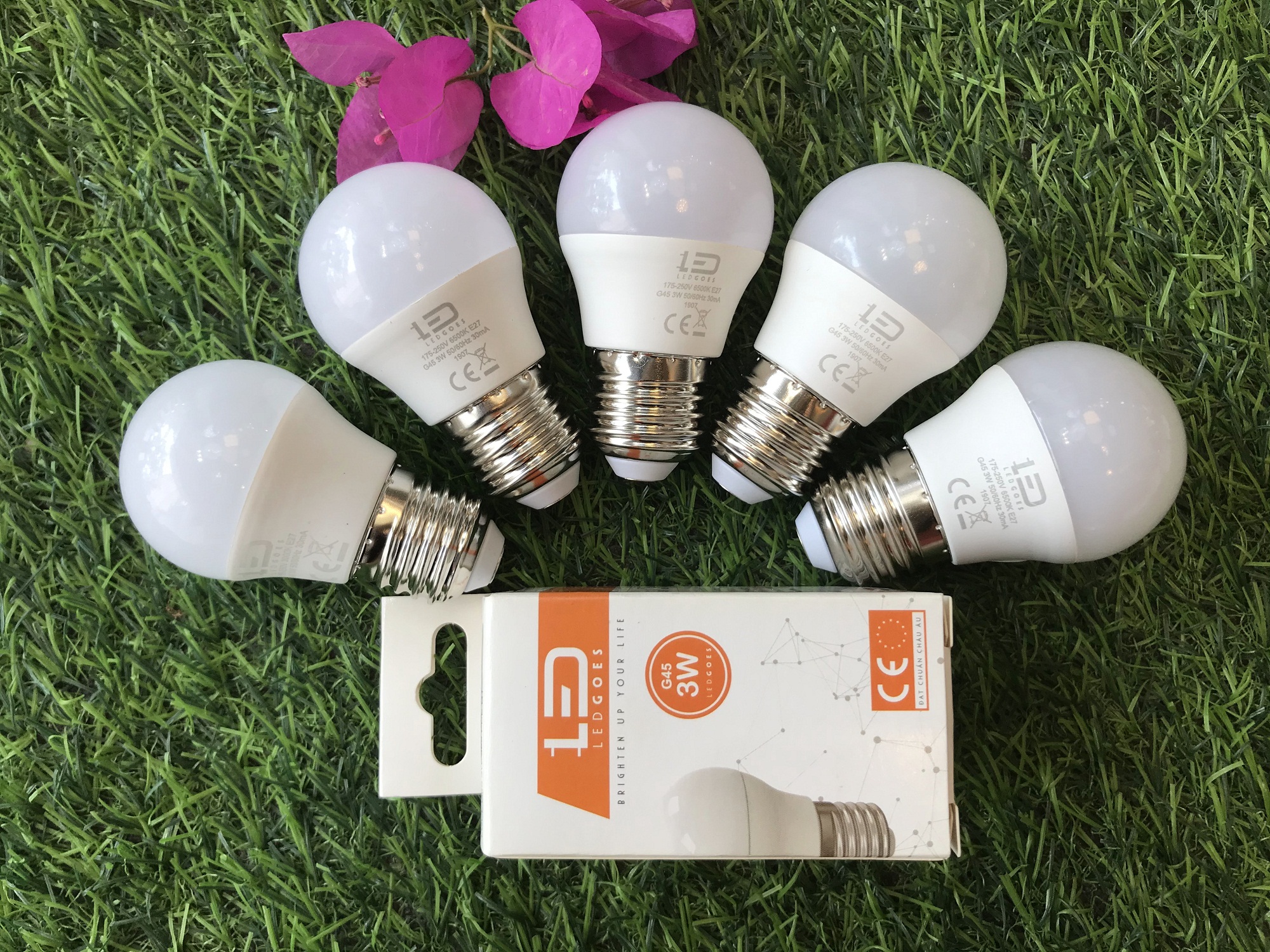 COMBO 5 Bóng đèn LED bulb tròn LEDGOES 3W