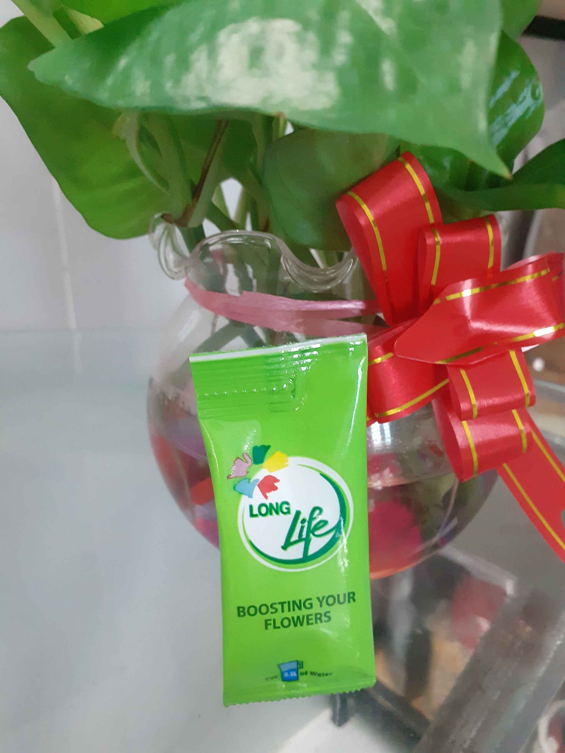 1 gói dưỡng hoa Long Life – Bền hoa – tươi lâu – không hôi nước.