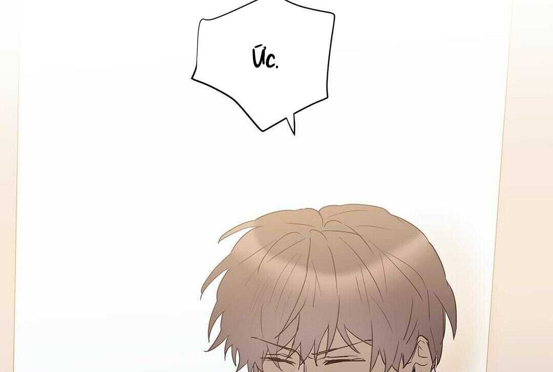 guide cấp b chapter 41 89