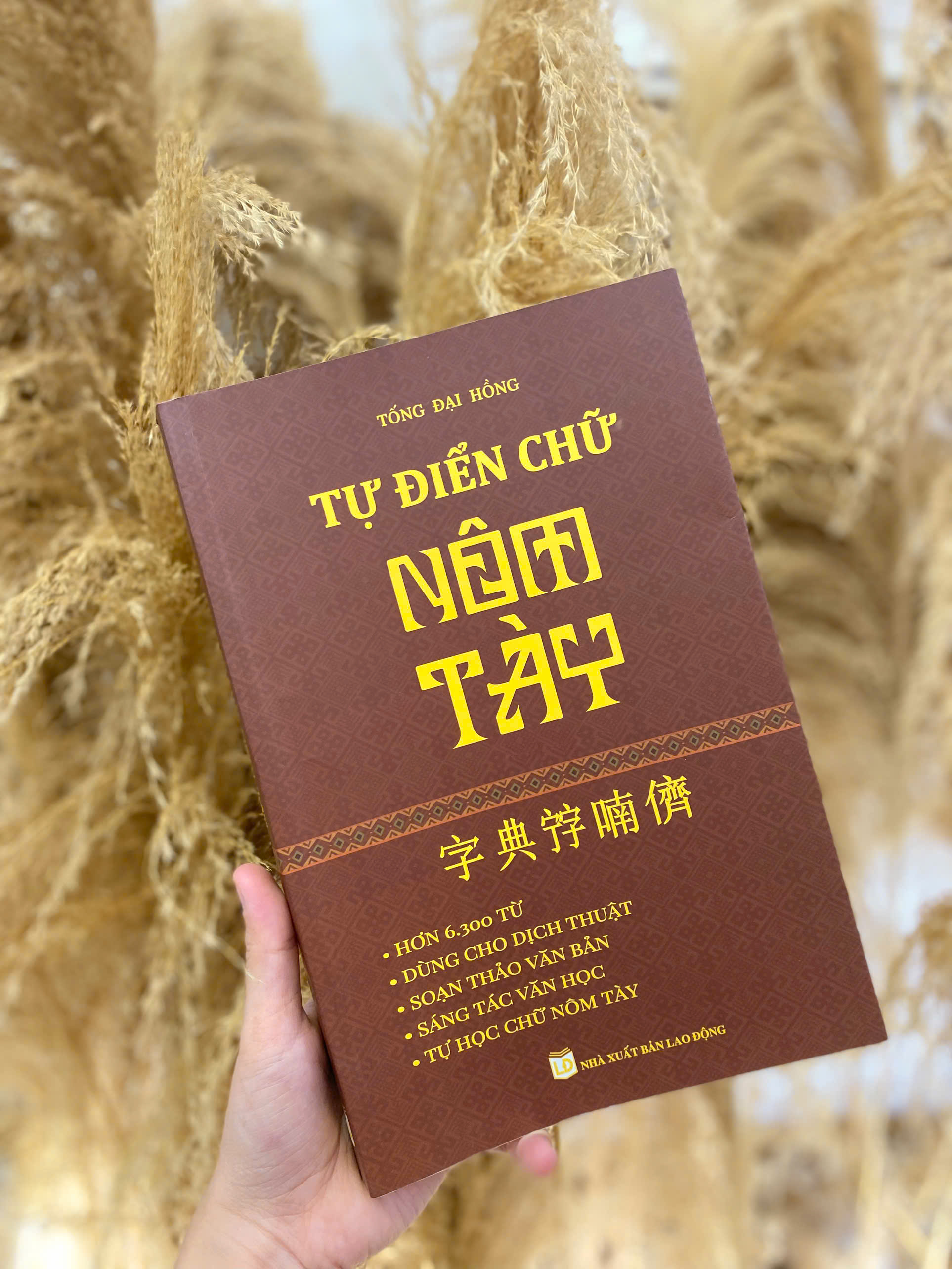 Sách - Từ điển chữ Nôm Tày - Tác giả Tống Đại Hồng - Trithuctrebooks - Khổ 16*24 cm