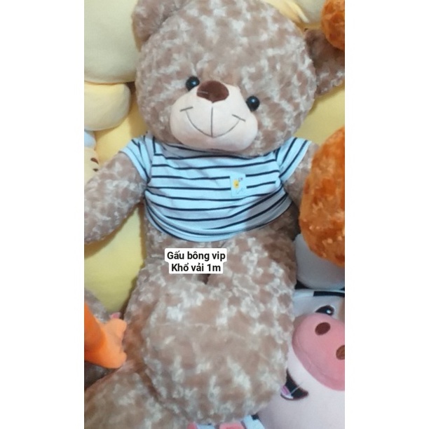 Thú nhồi bông Teddy mặc áo cute - Size từ 1m đến 1m7 - Quà tặng gấu bông teddy khủng lồ lông hoa cao cấp