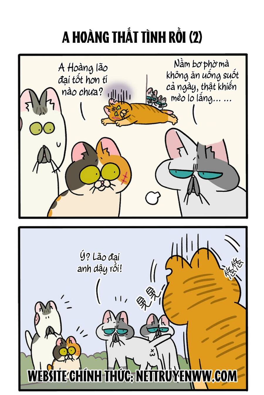 a mãn và mạch trà chapter 46.1 3