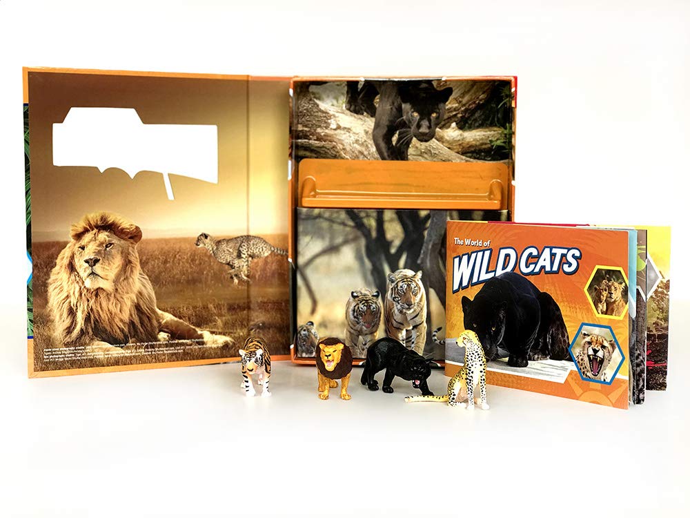 Wild Cats Pocket Explorers