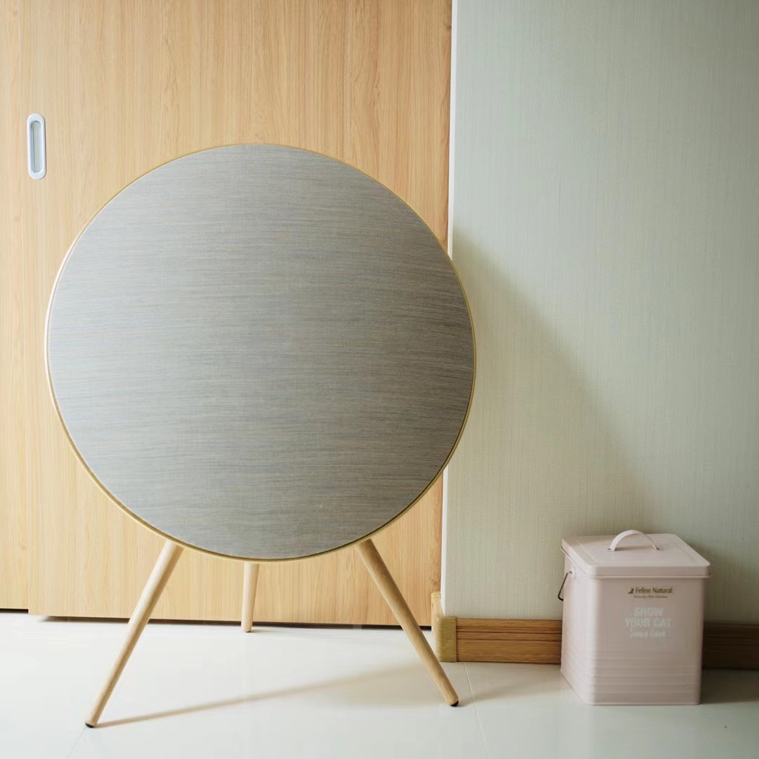 Loa Bluetooth Bang &amp; Olufsen Beoplay A9 MK4 SPECIAL EDITION Gold Tone/ White Oak - Hàng nhập khẩu