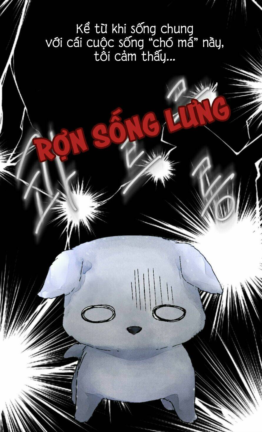 cún con đáng yêu của vị hoàng đế! chapter 0 20