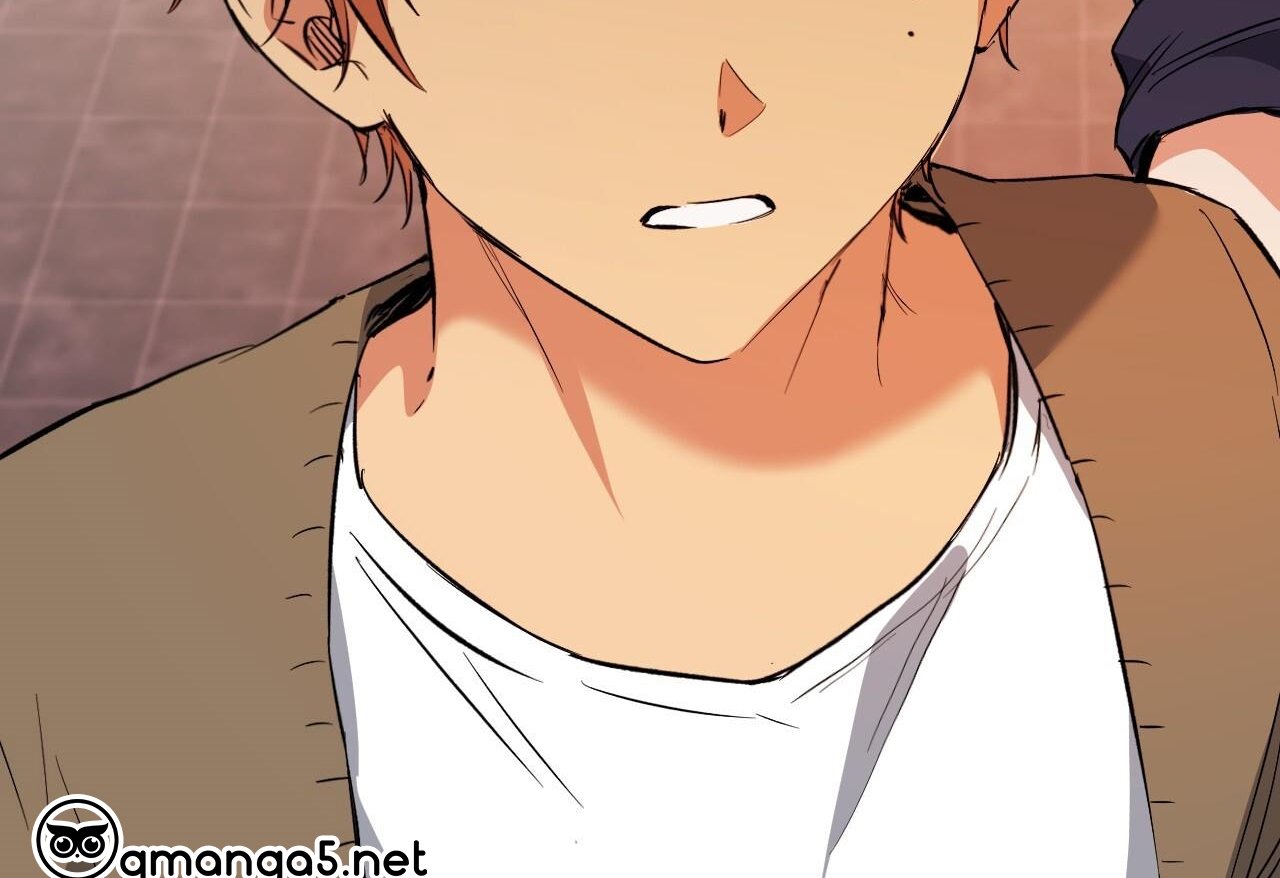 những chú thỏ của hapypy chapter 62 259