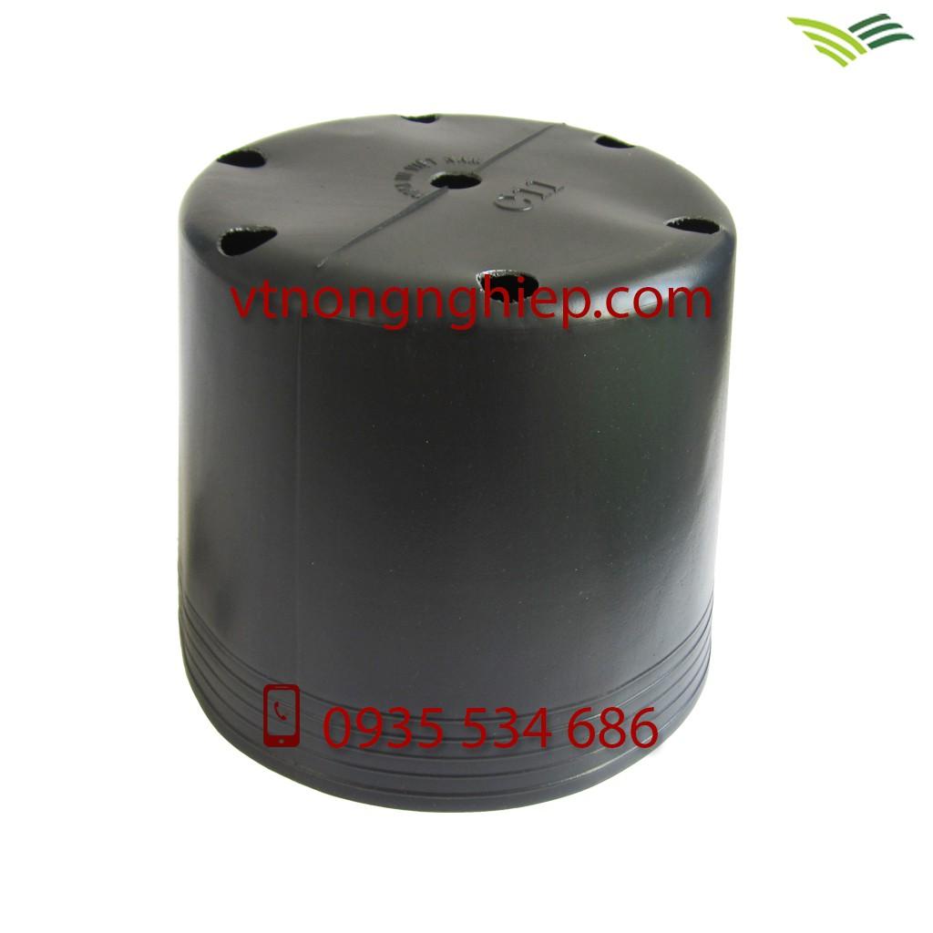 50 Chậu nhựa trồng cây C11 KT: 28x23x24