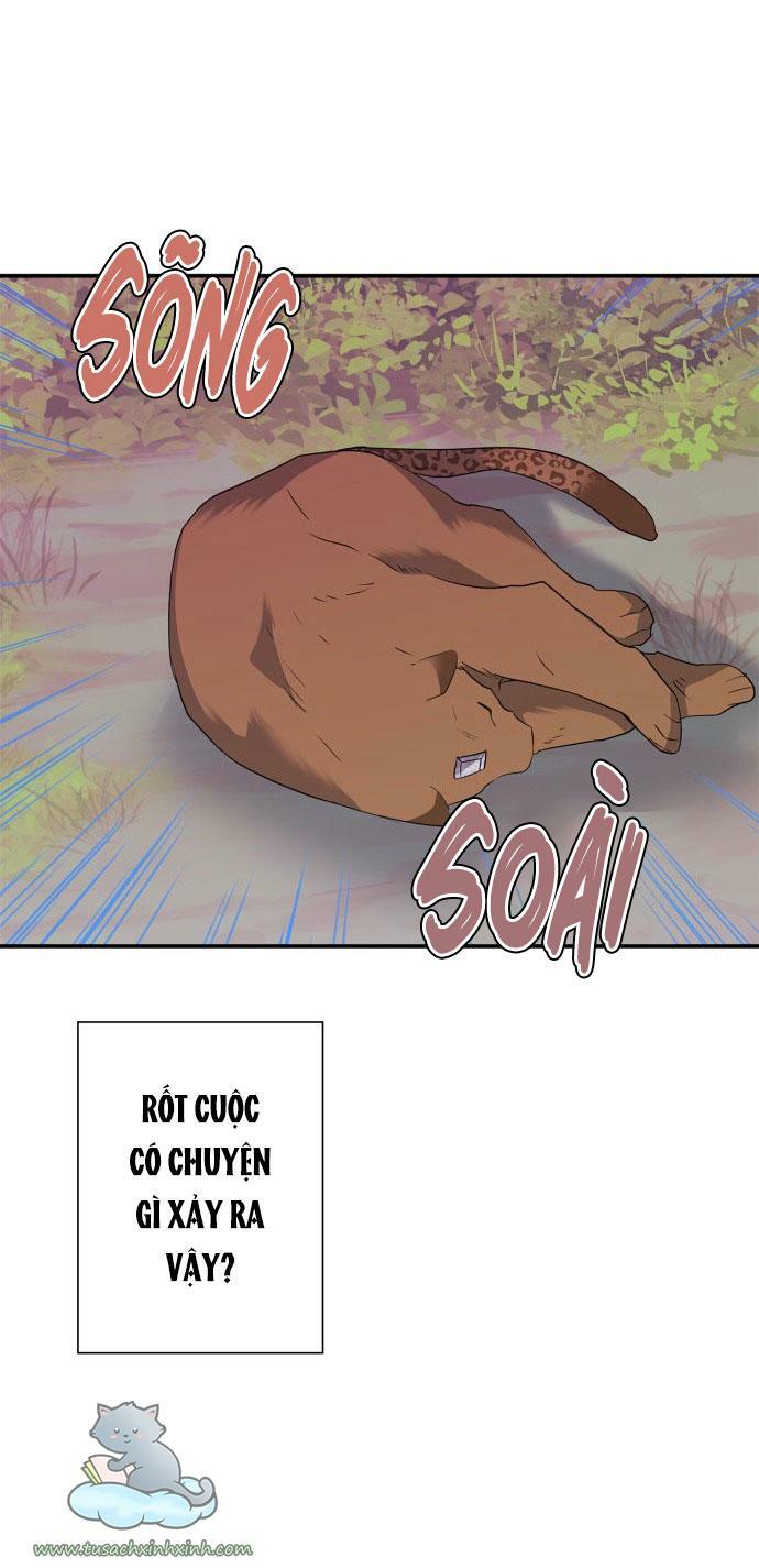 tôi đang nuôi dưỡng một con quái thú chapter 60 41