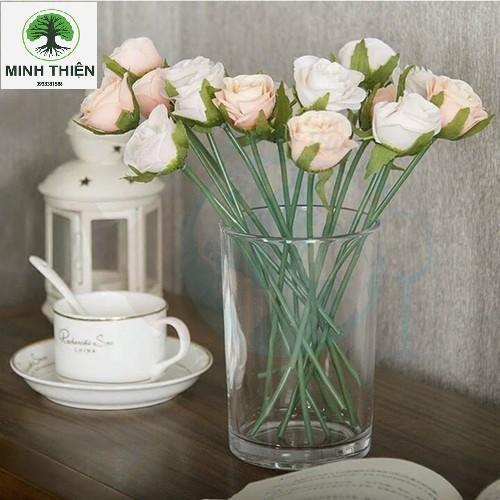 Bình Thủy Tinh Cắm Hoa, Trang Trí Ống Trụ Đường Kính 12cm x 20cm