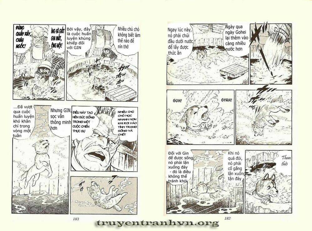 chú chó có nghĩa - ginga nagareboshi gin chapter 4 5