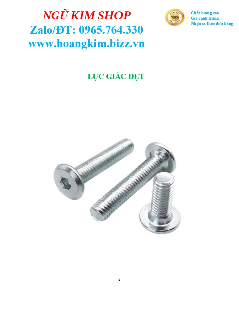 LỤC GIÁC DẸP _ BULONG LỤC GIÁC CHÌM M6 x L