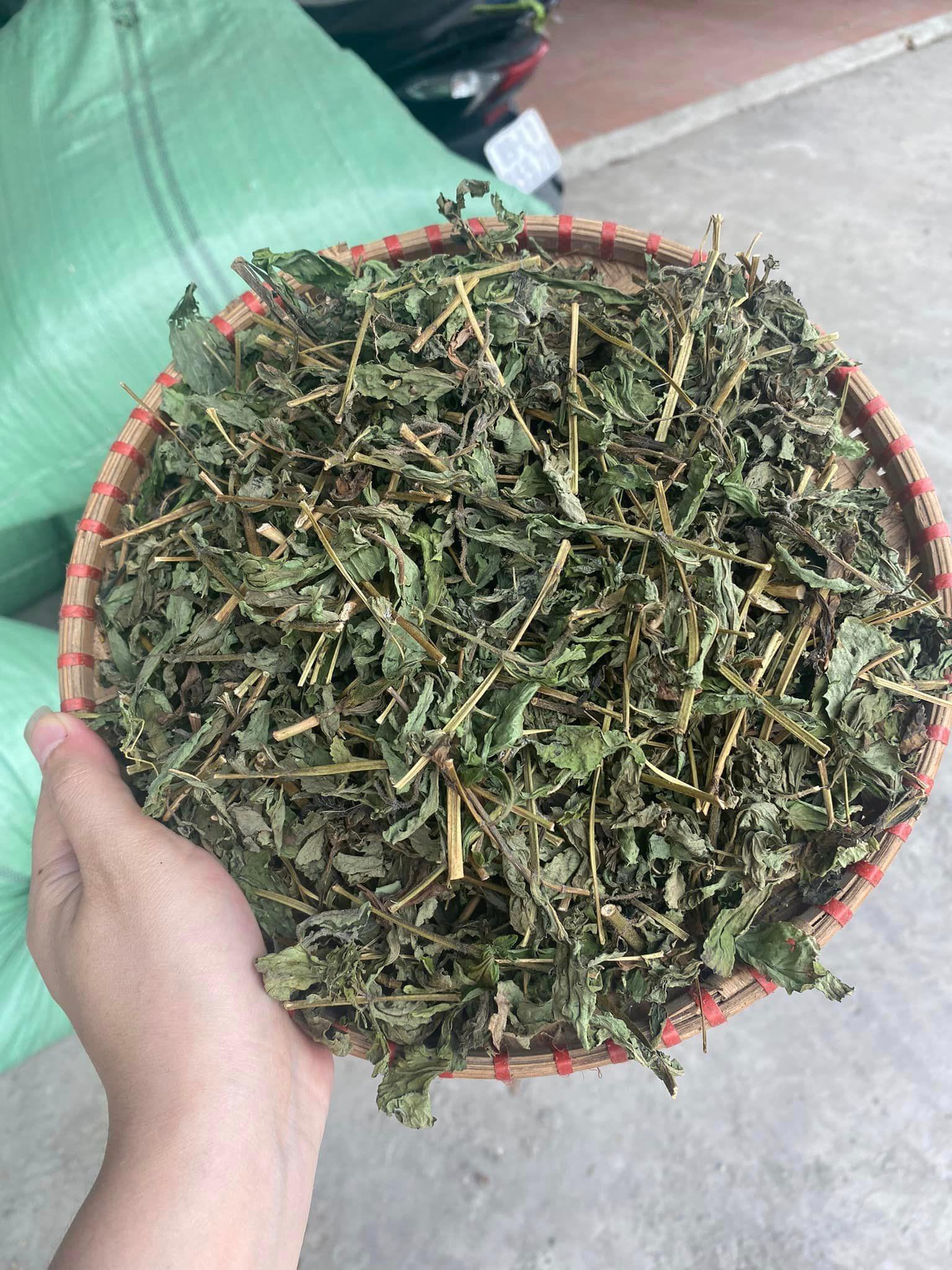 Cây cỏ ngọt việt nam - Sản phẩm hữu cơ tự nhiên gói 20gr