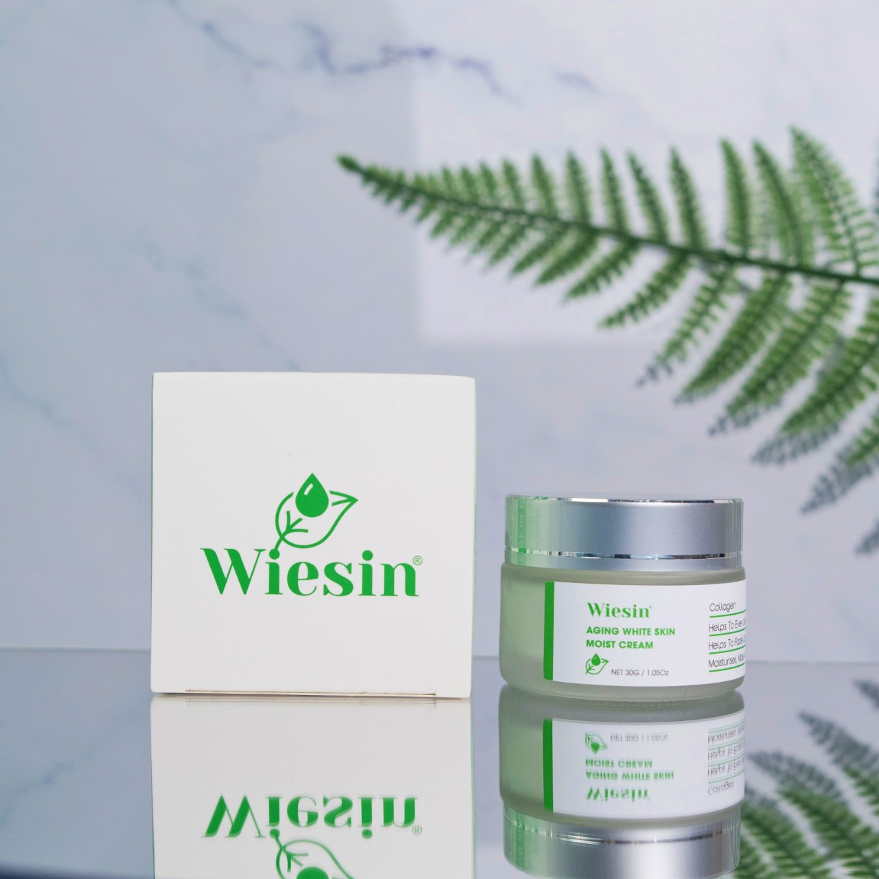 Kem dưỡng ẩm cho da dầu, da khô Wiesin Aging White Skin Moist Cream 30g - WS05