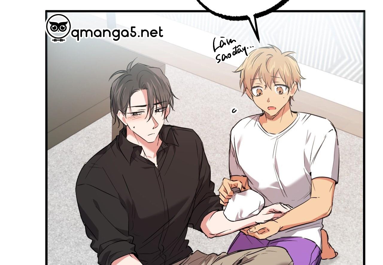 những chú thỏ của hapypy chapter 60 211