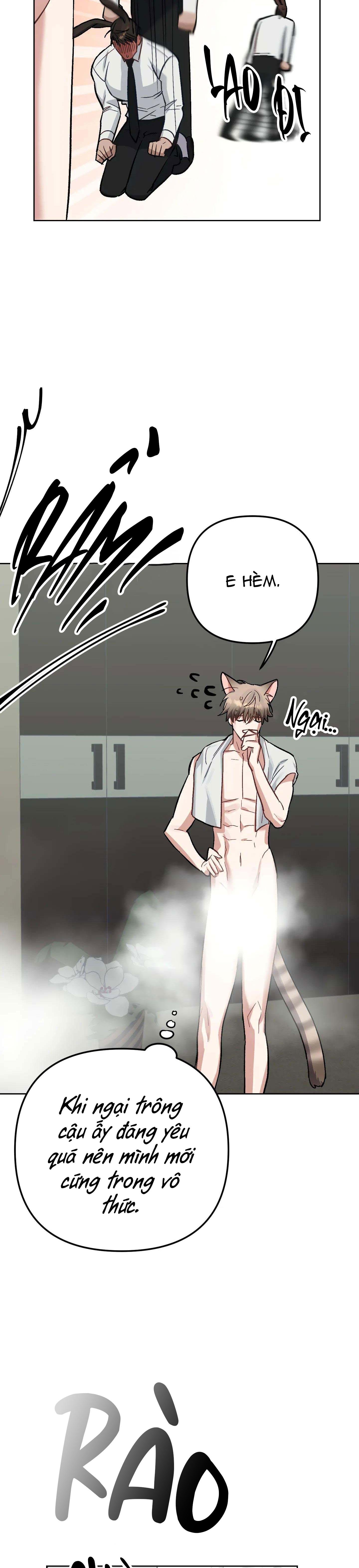 thỏ xuất tinh trong vòng 3 giây chapter 3 16