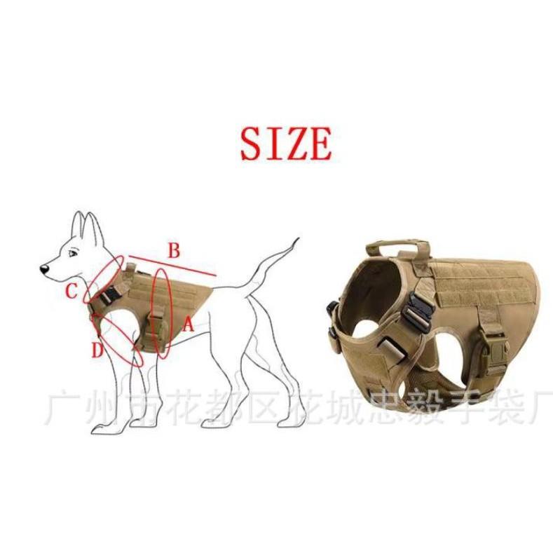Đai lưng nghiệp vụ huấn luyện chó malinois ,bolie,corgi,doberman,v.v...