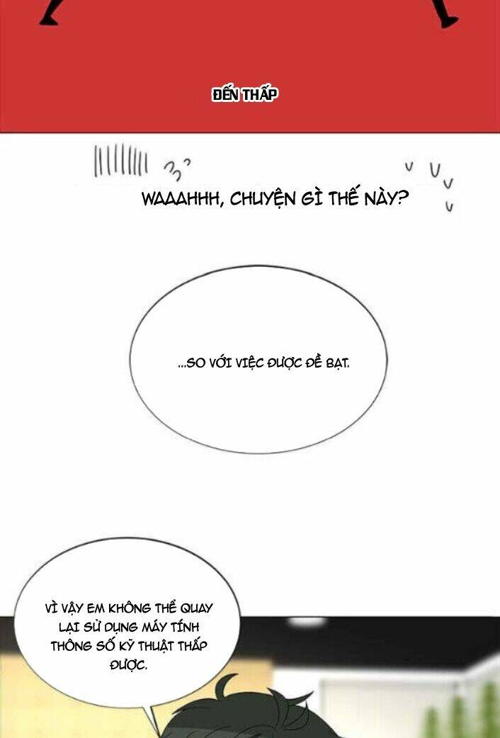 no scope chapter 115 49