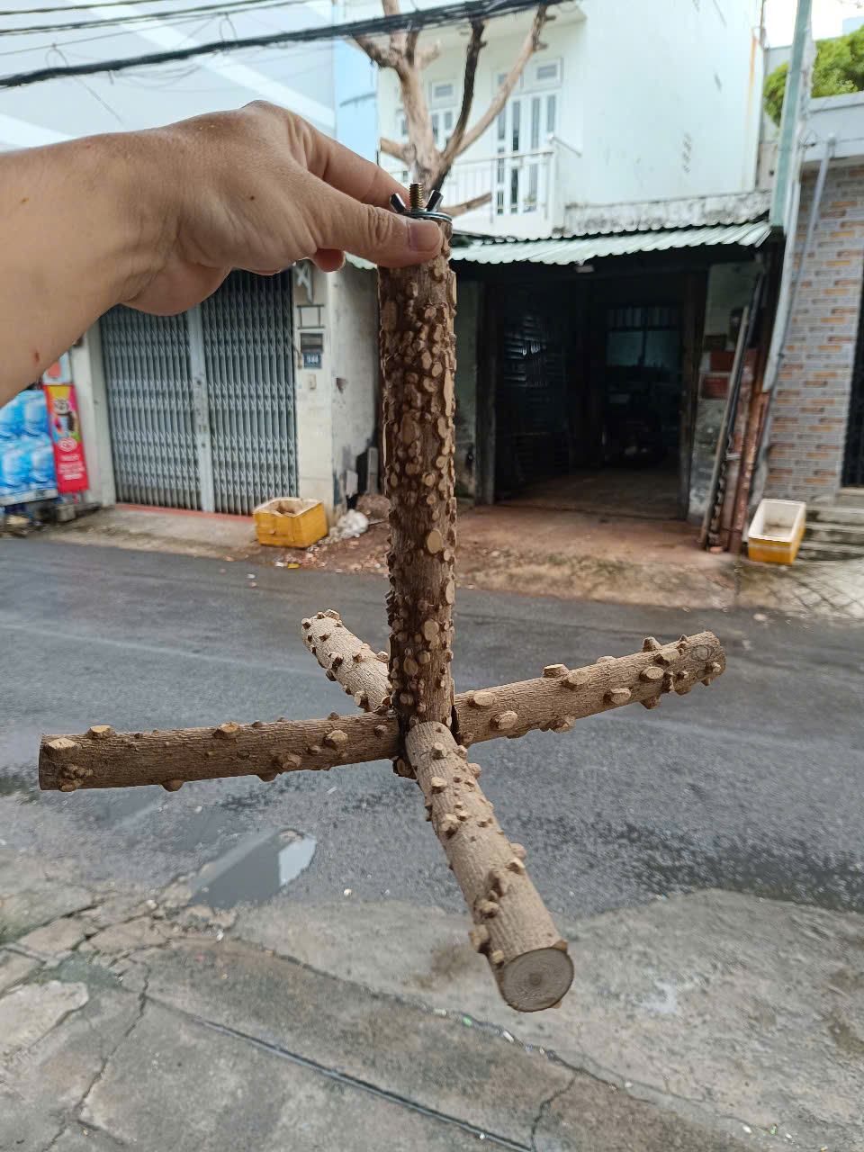 1 CÂY ĐẬU TREO LỒNG BẰNG GỖ GẠO (DẠNG CHỮ THẬP) DÙNG TREO TRONG LỒNG CHO CHIM, MỌI DÒNG VẸT ĐẬU