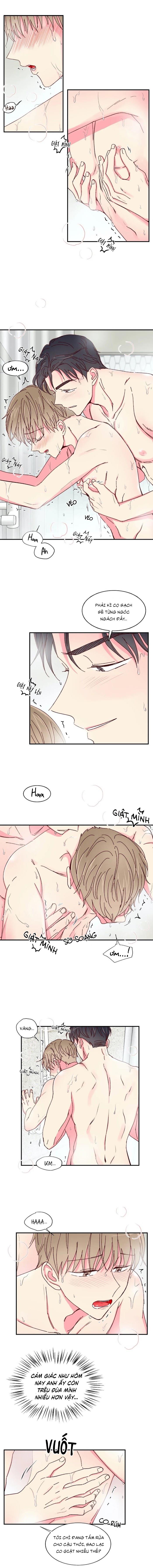 món tráng miệng của sếp tổng chapter 18 1