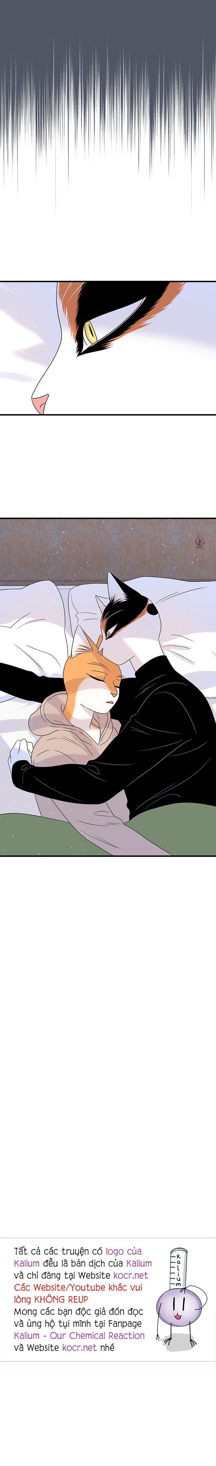 dự án xanh chapter 45 17