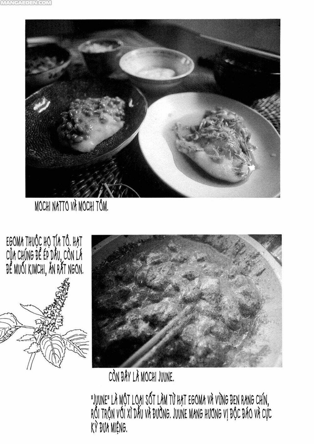 little forest chapter 16 8