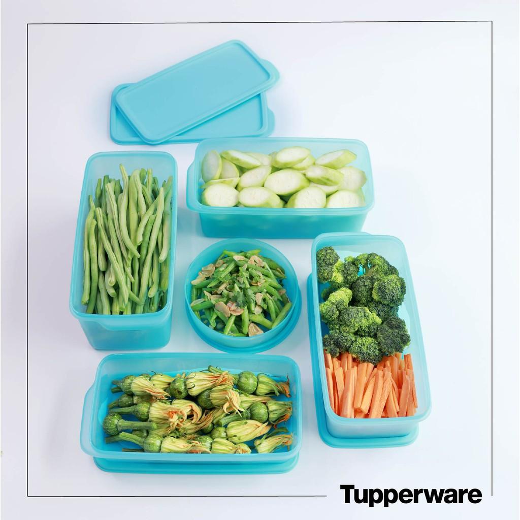 Hộp Trữ Mát Freshia 5 Tupperware, Hộp Trữ Rau Củ Trái Cây Tươi Lâu