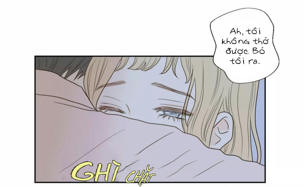honey bed talk chapter 31 32