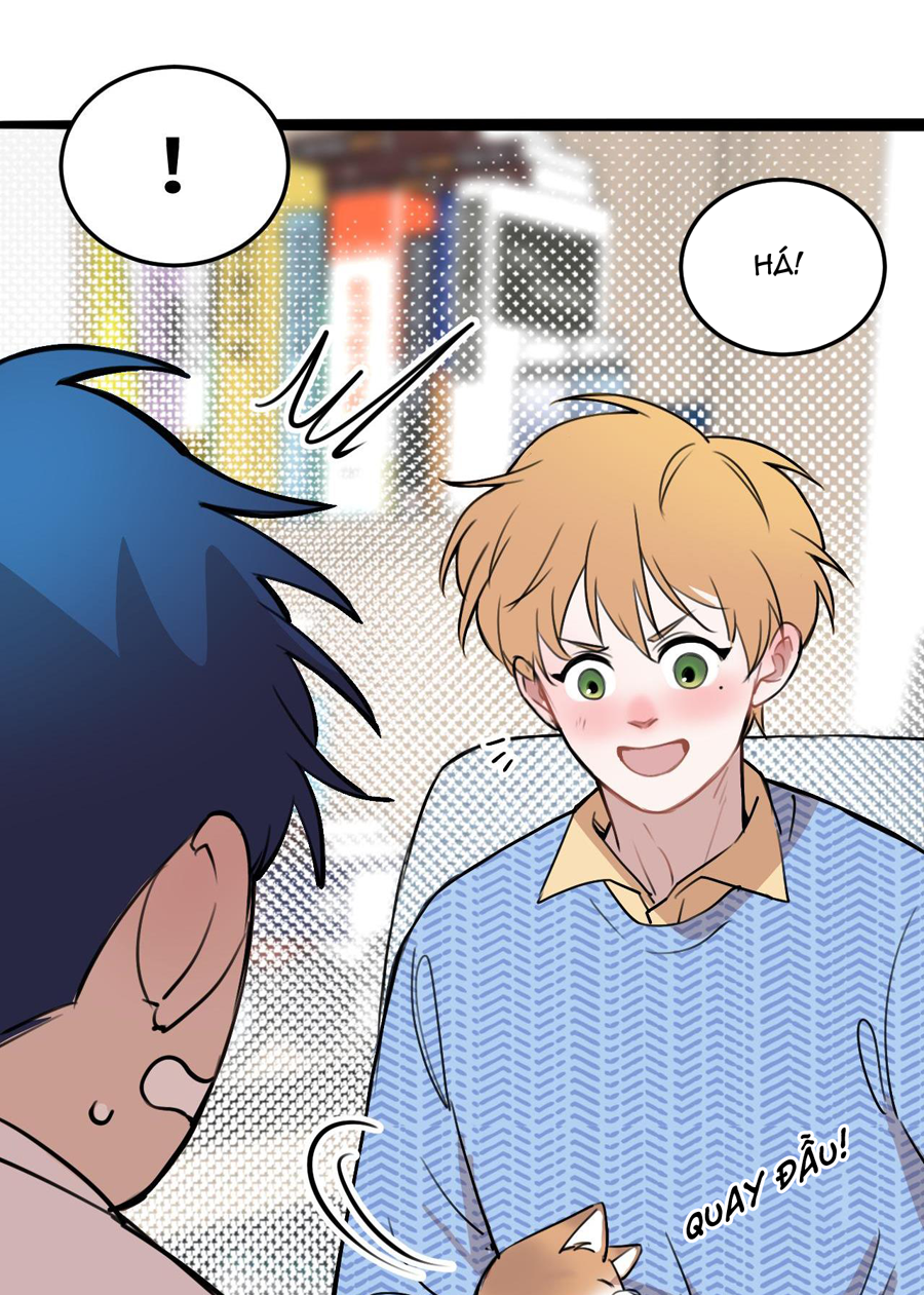 rốt cuộc bé mèo đang nghĩ gì ? chapter 11 18