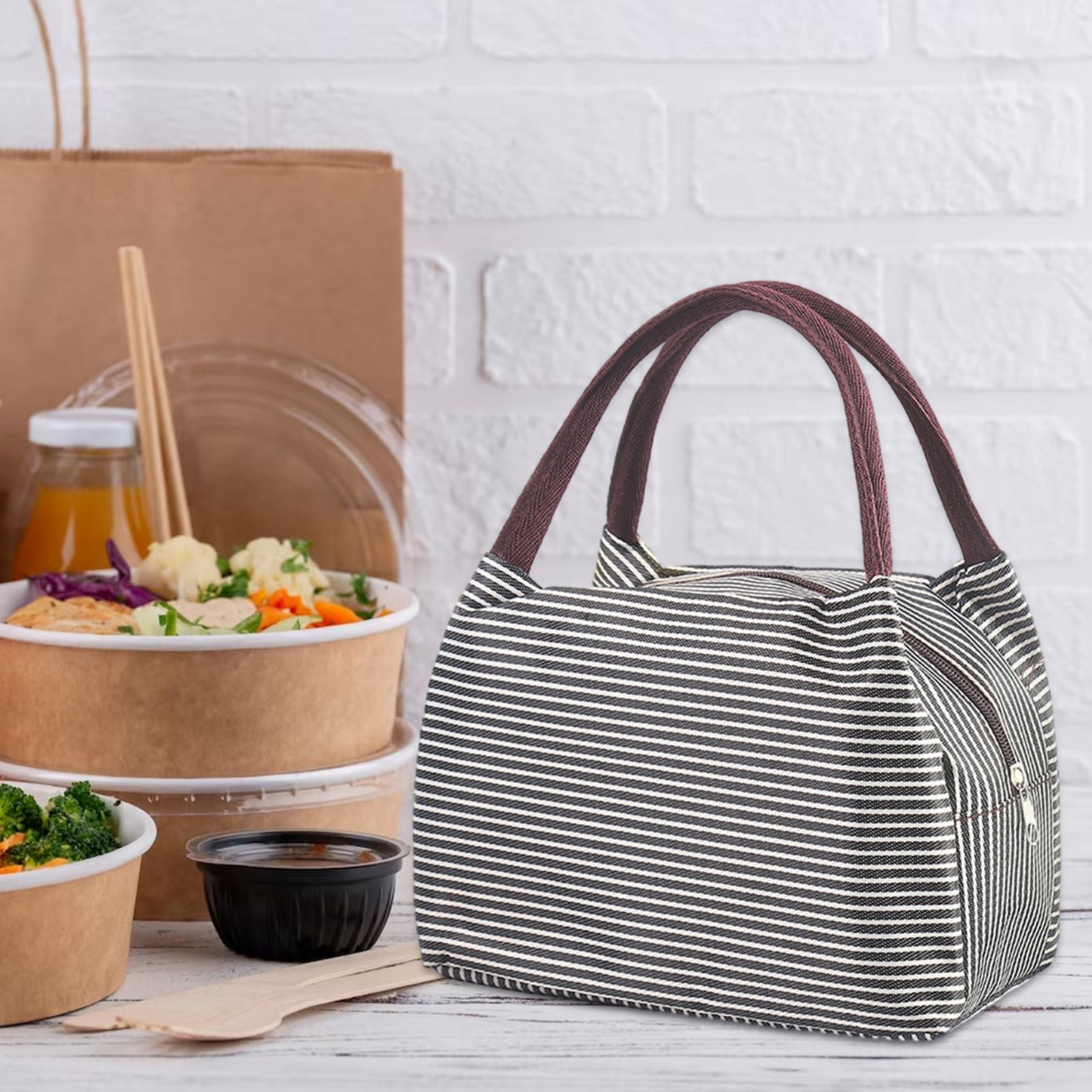 Portable Lunch Lunch Box with Handle Picnic Food Box Bags Large Capacity Lightweight Durable Portable Picnic Tote for Hiking Gym Fishing