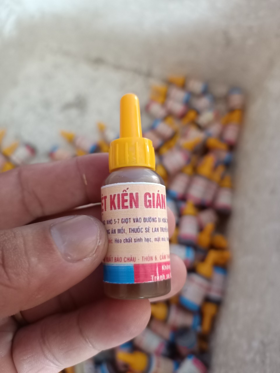Thuốc diệt kiến gián sinh học tận gốc
