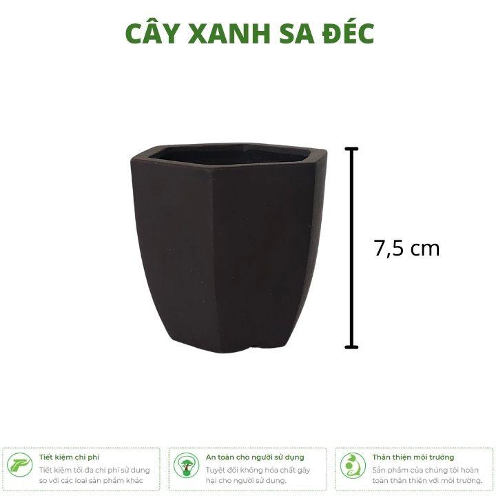 Chậu lục giác mini CK3 trồng cây nhỏ, bonsai mini, cây hoa trang trí nhà, bàn làm việc, bàn học