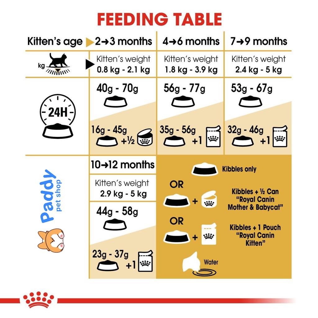 Hạt Royal Canin British Shorthair Kitten Cho Mèo Anh Lông Ngắn Nhỏ